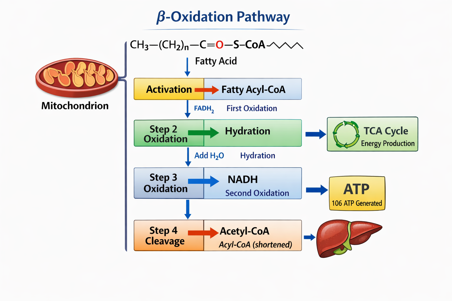 Biology - Online Course at MadiisAttendance
